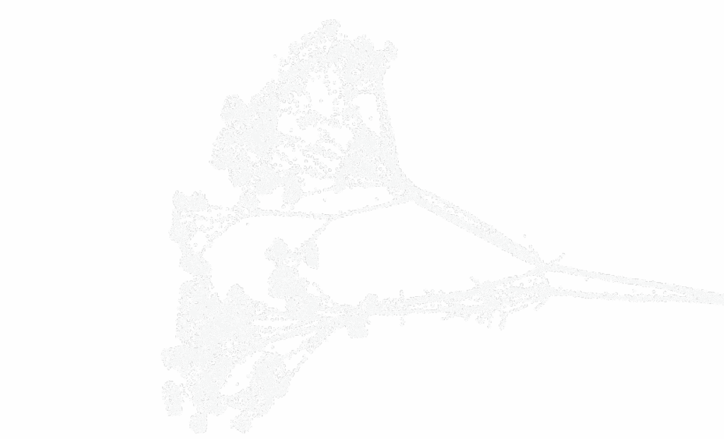 White outline of flower with small flower bulbs