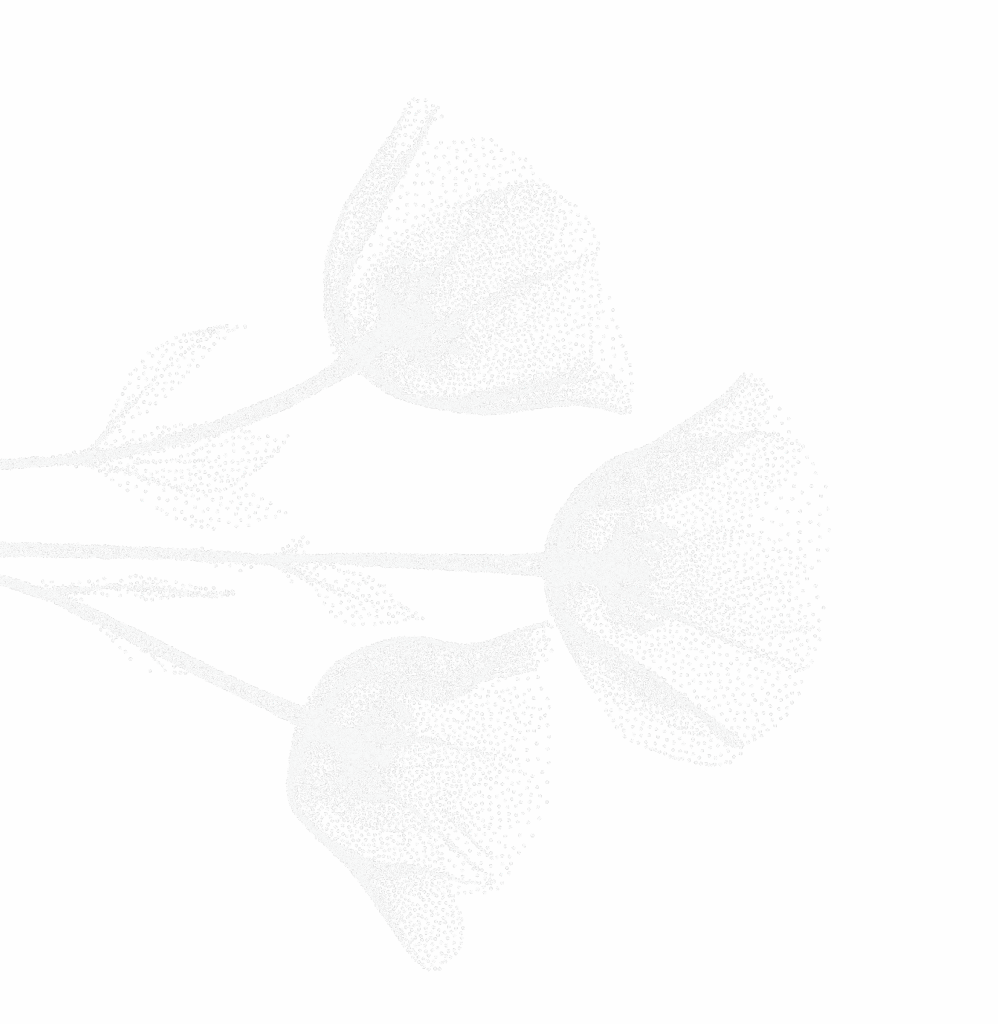 White flower from left side with large wispy flower peddles
