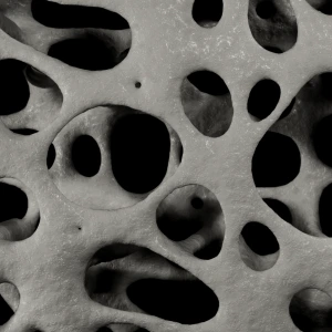 Close-up texture of bone-like porous structure.