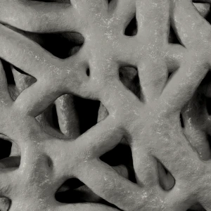 Close-up texture of porous bone structure.