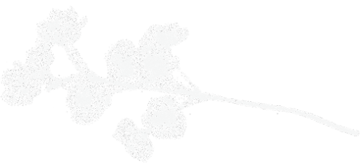 White silhouette of a decorative flowering branch with leaves and small blossoms