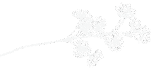 White silhouette of a decorative floral branch with small flowers, leaves, and buds on a transparent background.